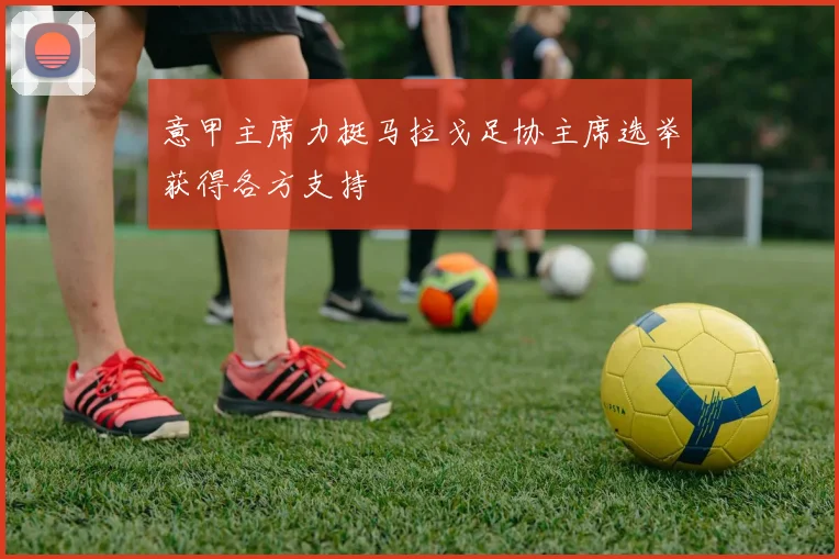 意甲主席力挺马拉戈足协主席选举获得各方支持